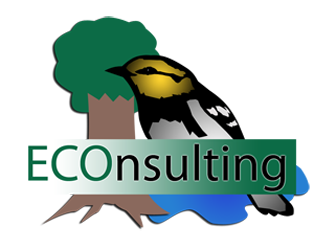 EConsulting